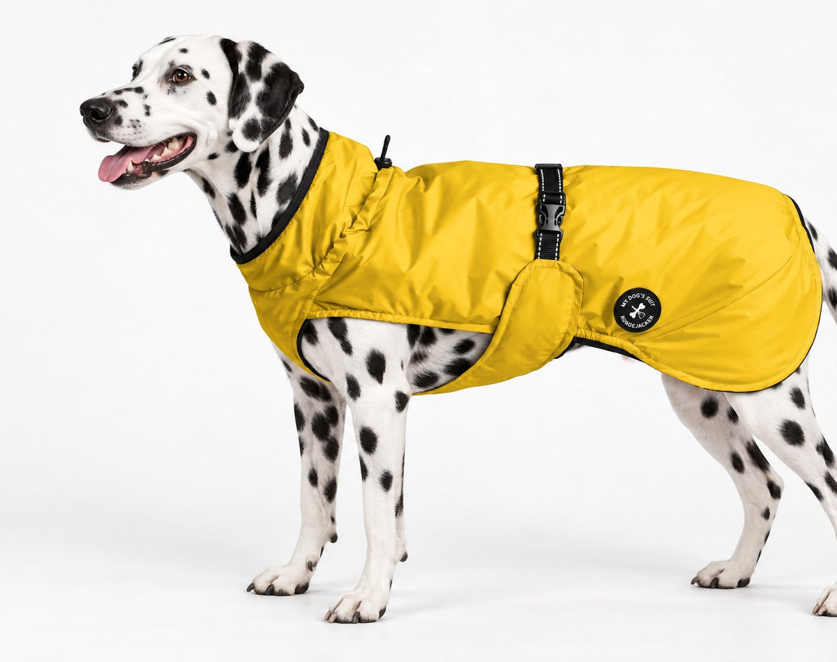 Hunderegenjacke