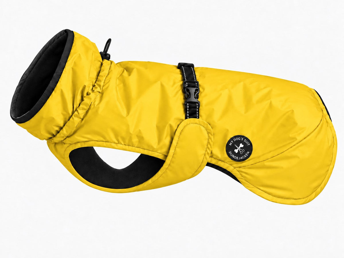 Hunderegenjacke