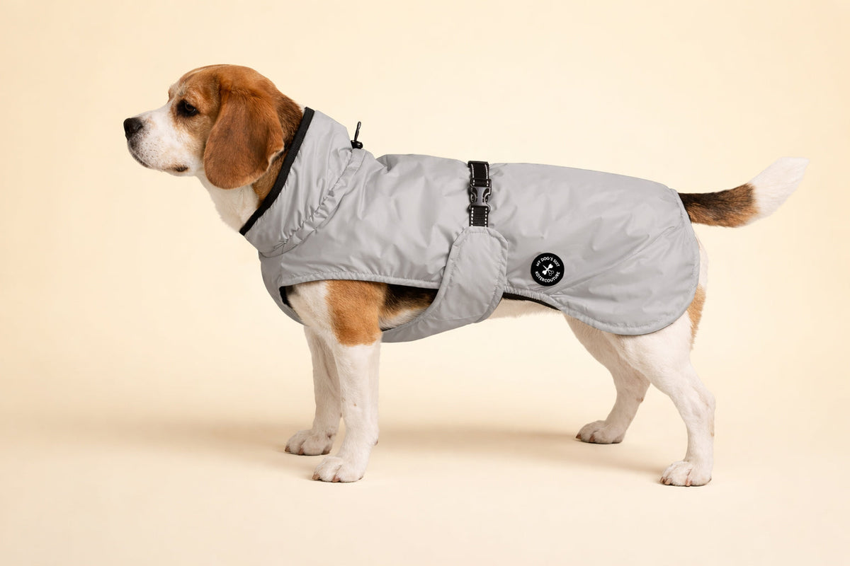 Hunderegenjacke