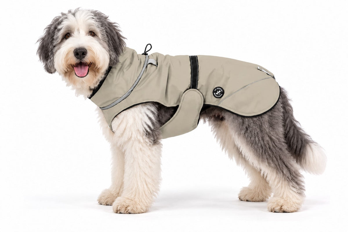 Hundewinterjacke