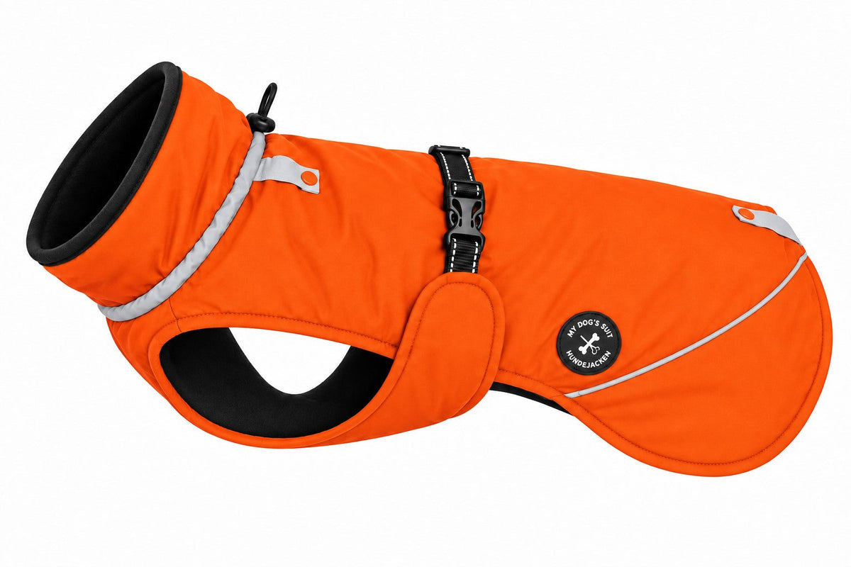 Hundewinterjacke