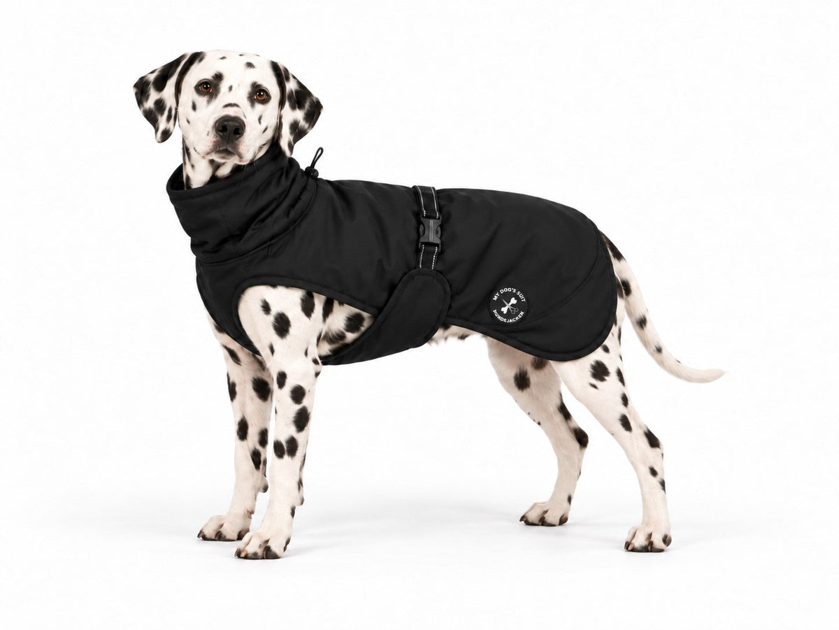 Hunderegenjacke