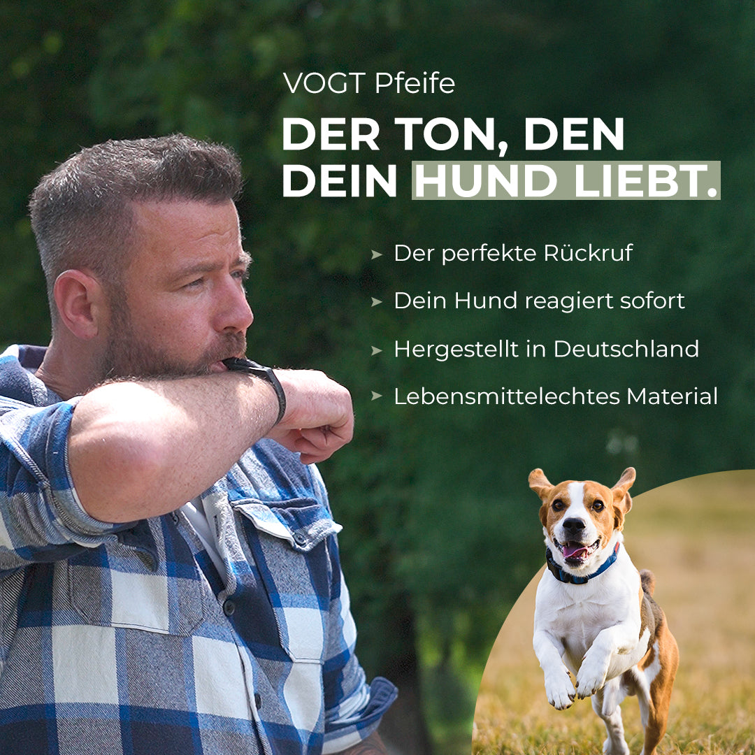 Dein All-in-One Trainingsset von Andre Vogt