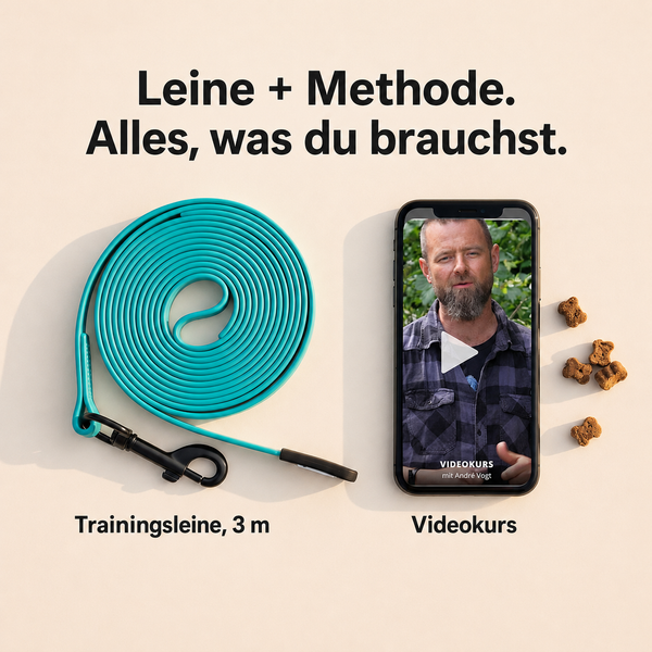 Exklusiver Videokurs