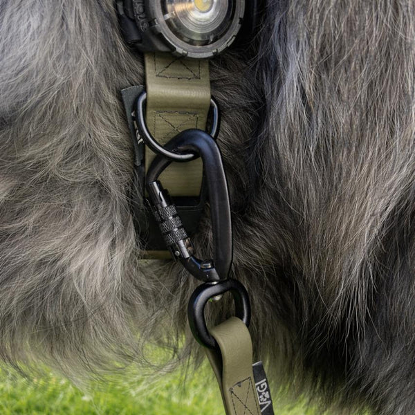 Extrem robuster Karabiner