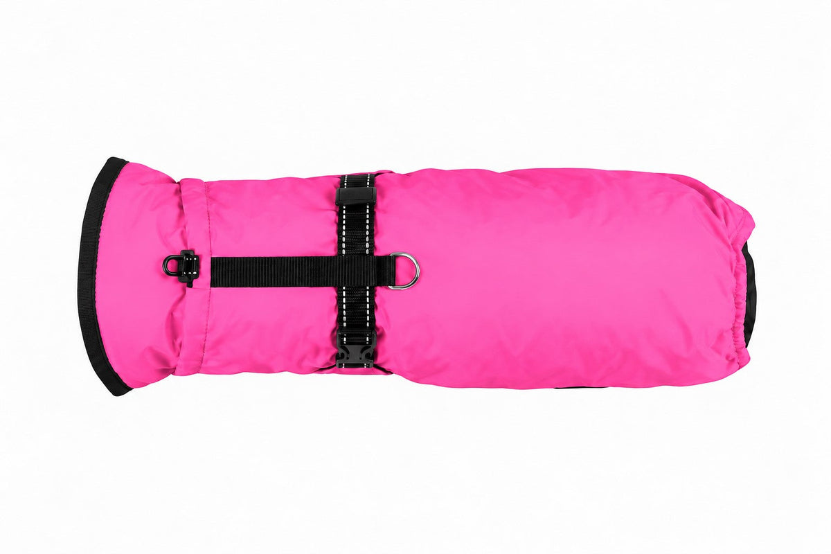 Hunderegenjacke