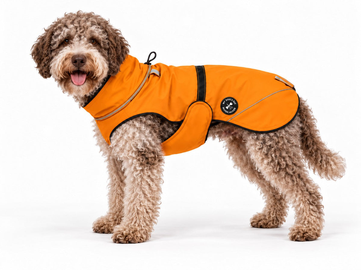 Hundewinterjacke