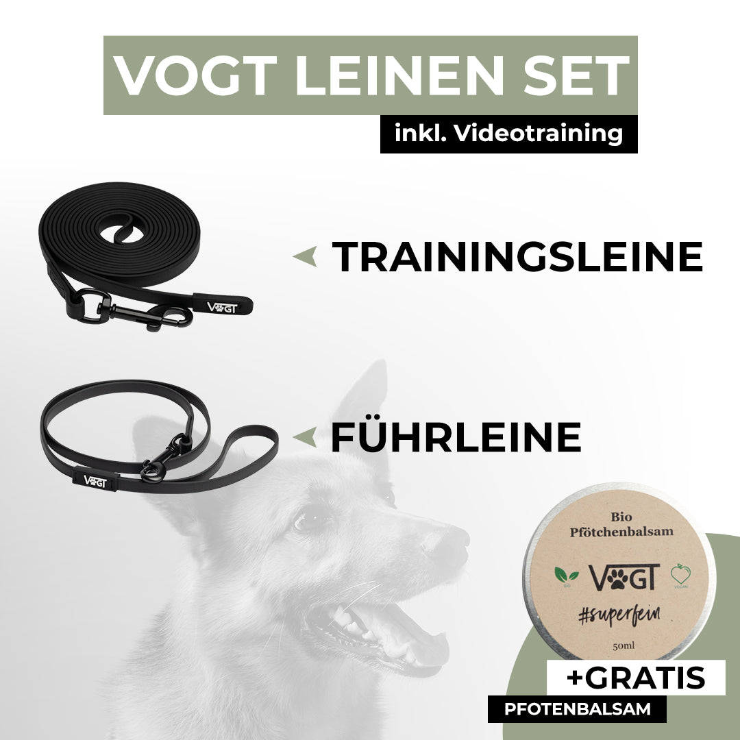 VOGT Leinen Set - Sicher und stressfrei spazieren