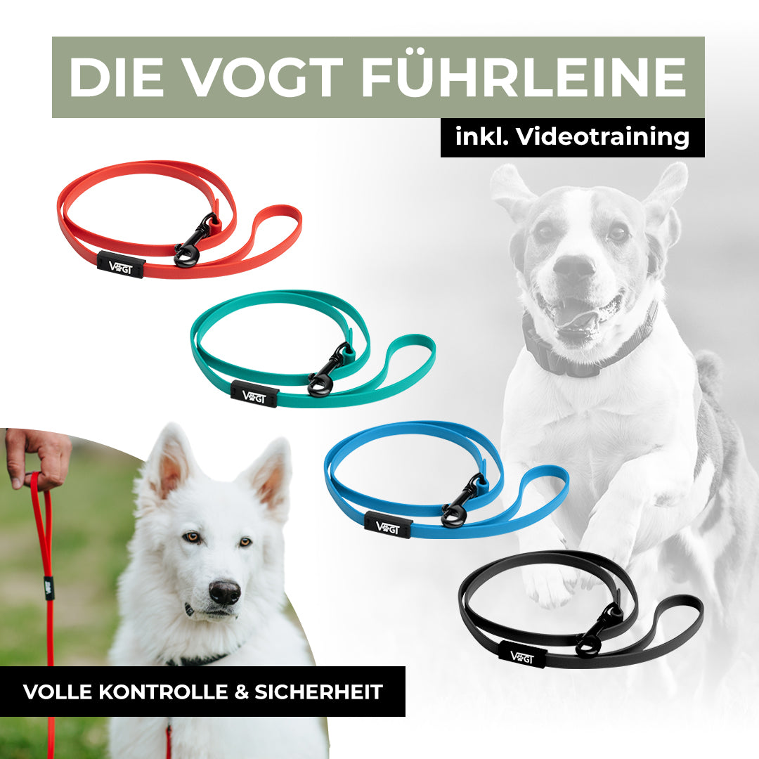 VOGT-Führleine