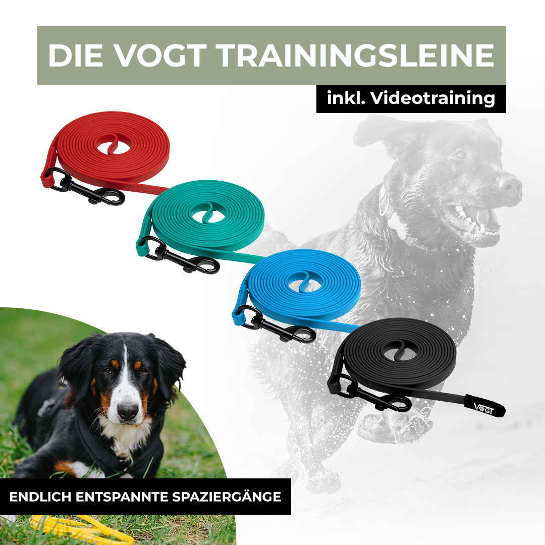 VOGT-Trainingsleine
