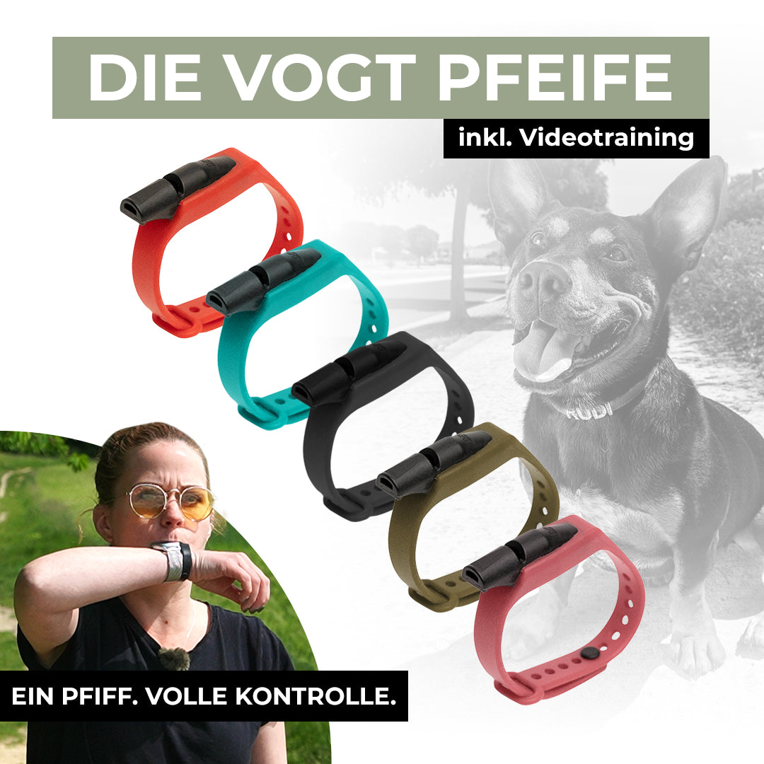 VOGT-Pfeife