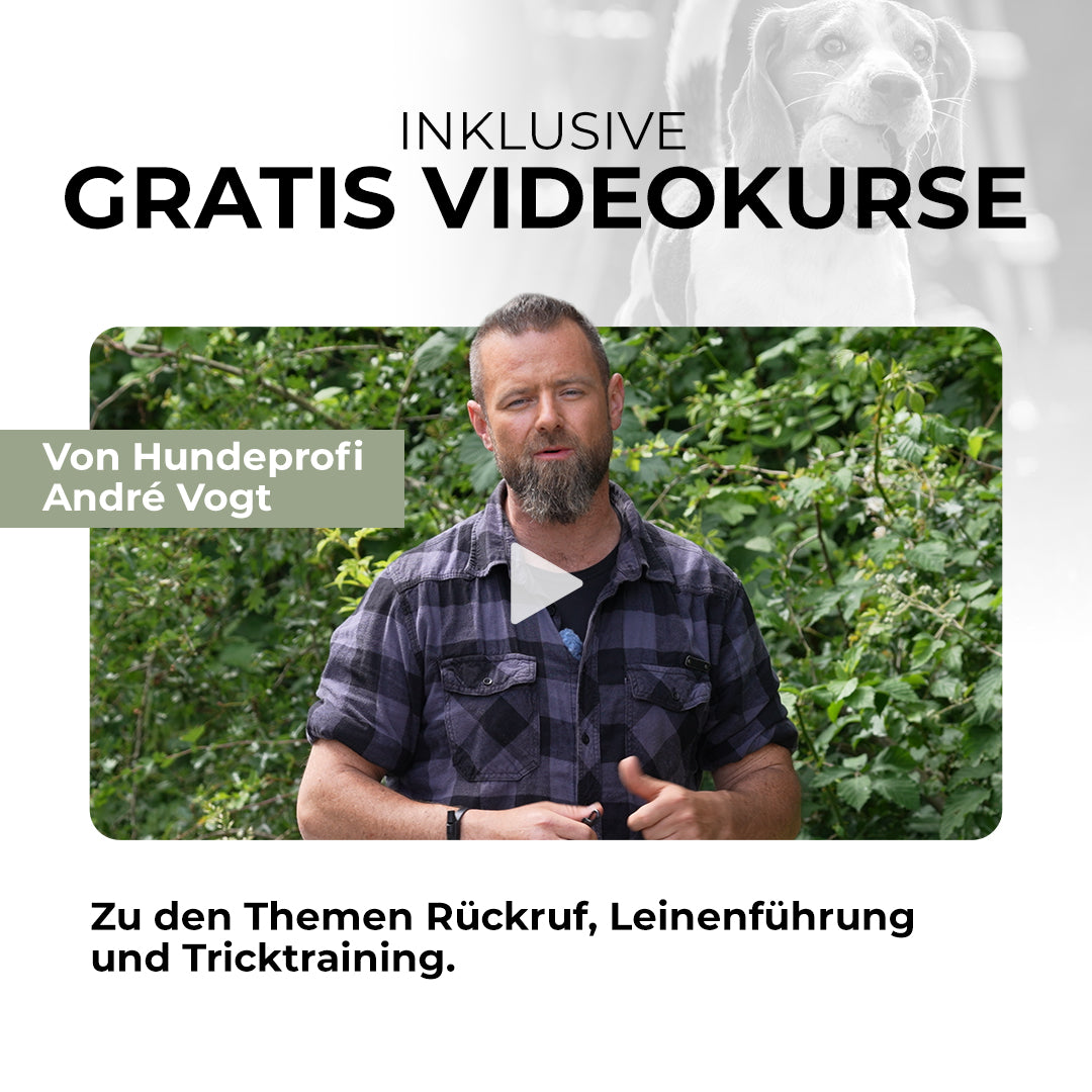 Dein All-in-One Trainingsset von Andre Vogt