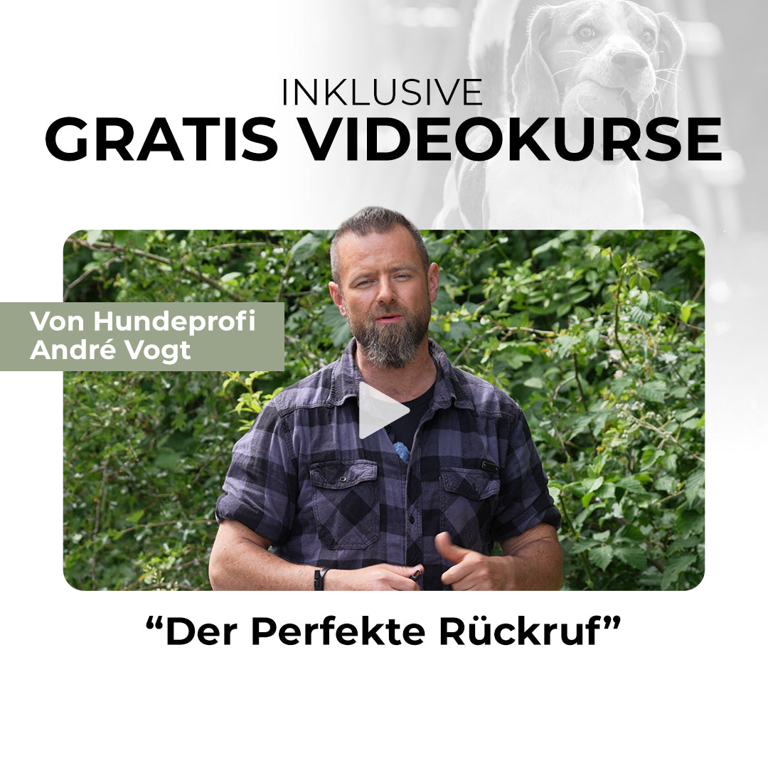 VOGT-Pfeife