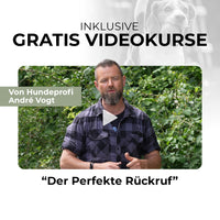 VOGT-Pfeife