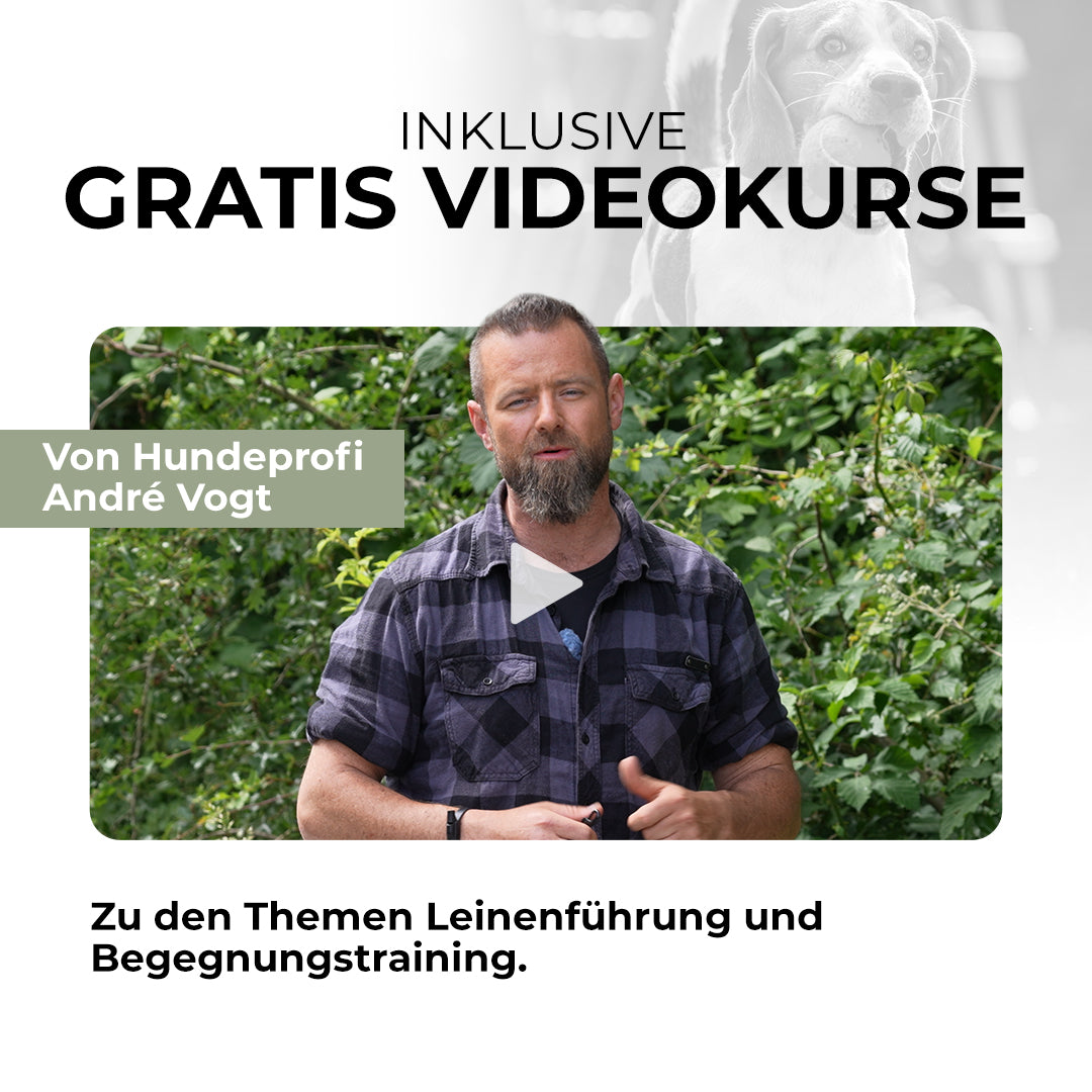 VOGT Leinen Set - Sicher und stressfrei spazieren