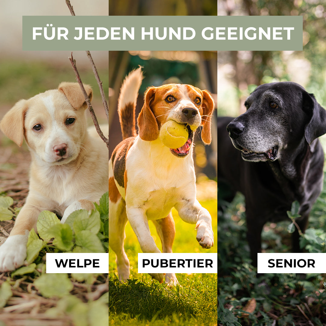 Dein All-in-One Trainingsset von Andre Vogt