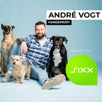 VOGT-Pfeife