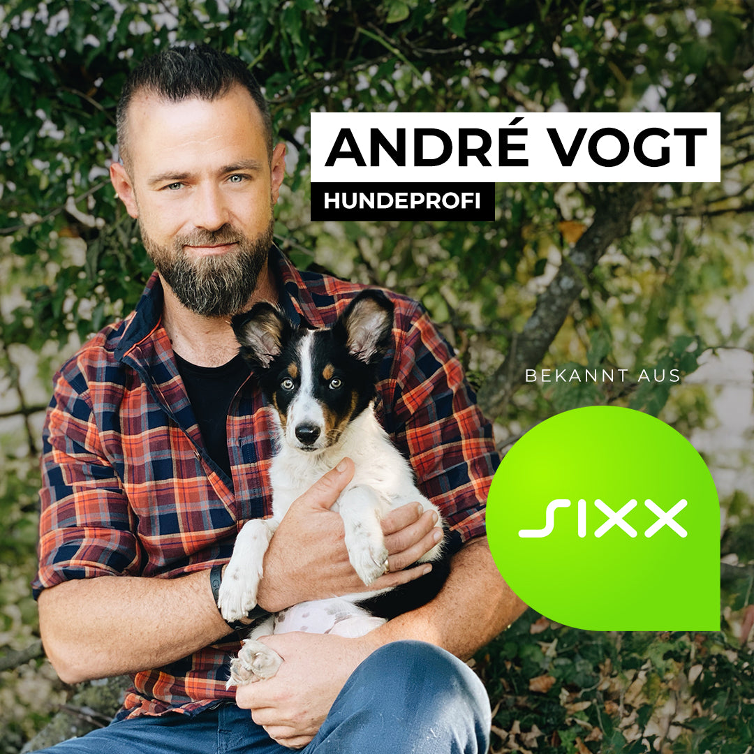 VOGT-Führleine