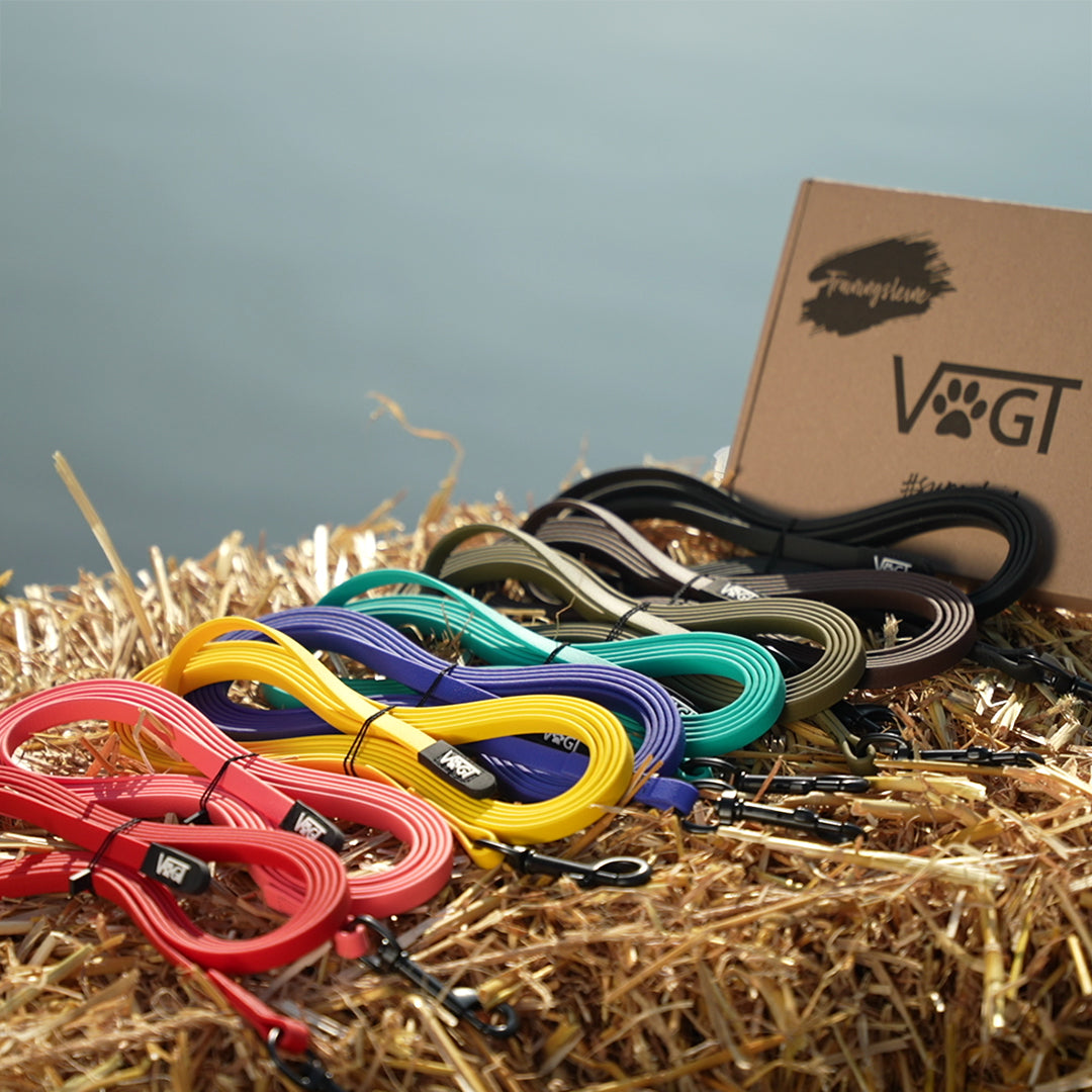VOGT Leinen Set - Sicher und stressfrei spazieren