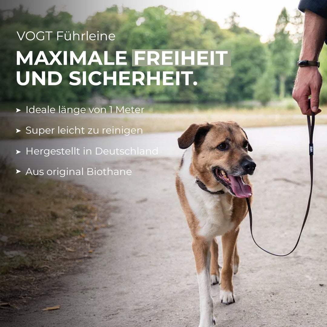 VOGT Leinen Set - Sicher und stressfrei spazieren