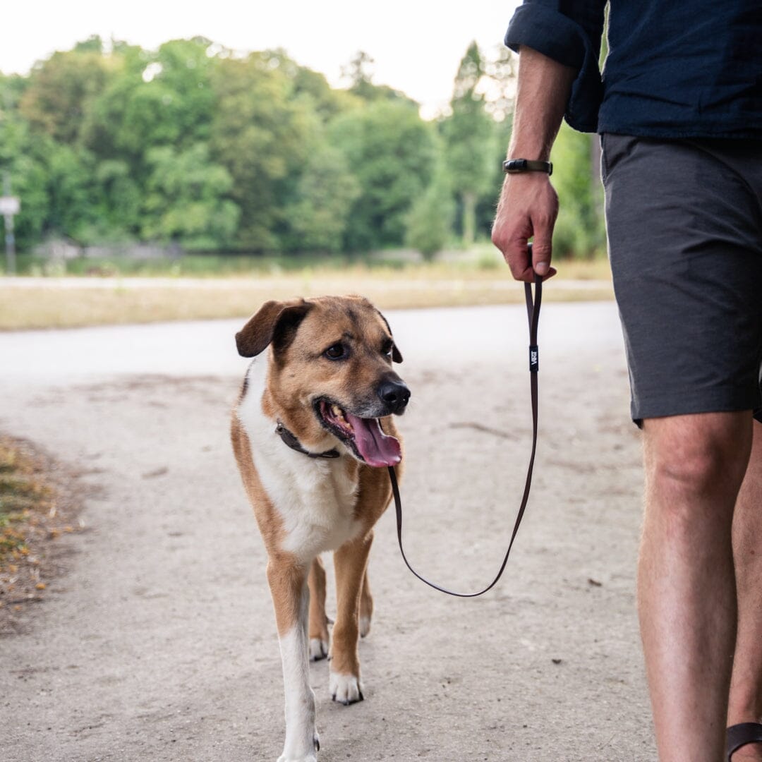 VOGT-Führleine Leine hundeshop-vogt 