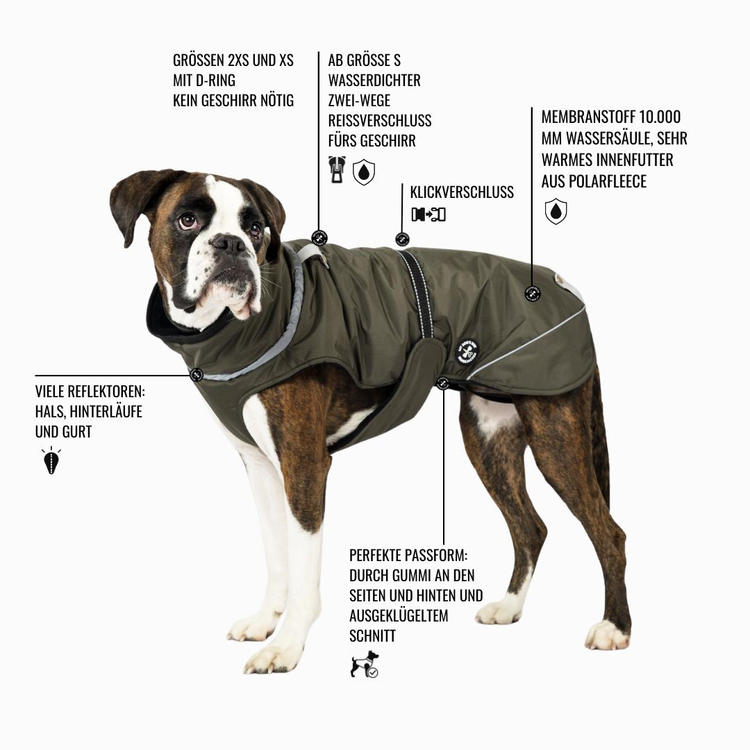 Hundewinterjacke