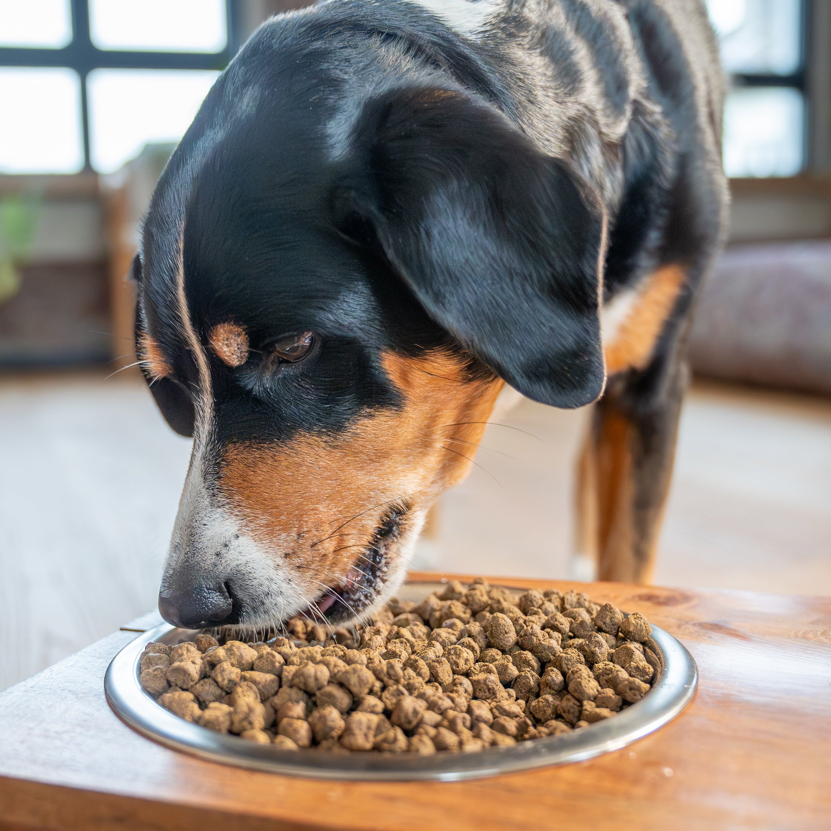 VOGT Superfeines Futter – Das Original - Alles drin, was dein Hund braucht 100g