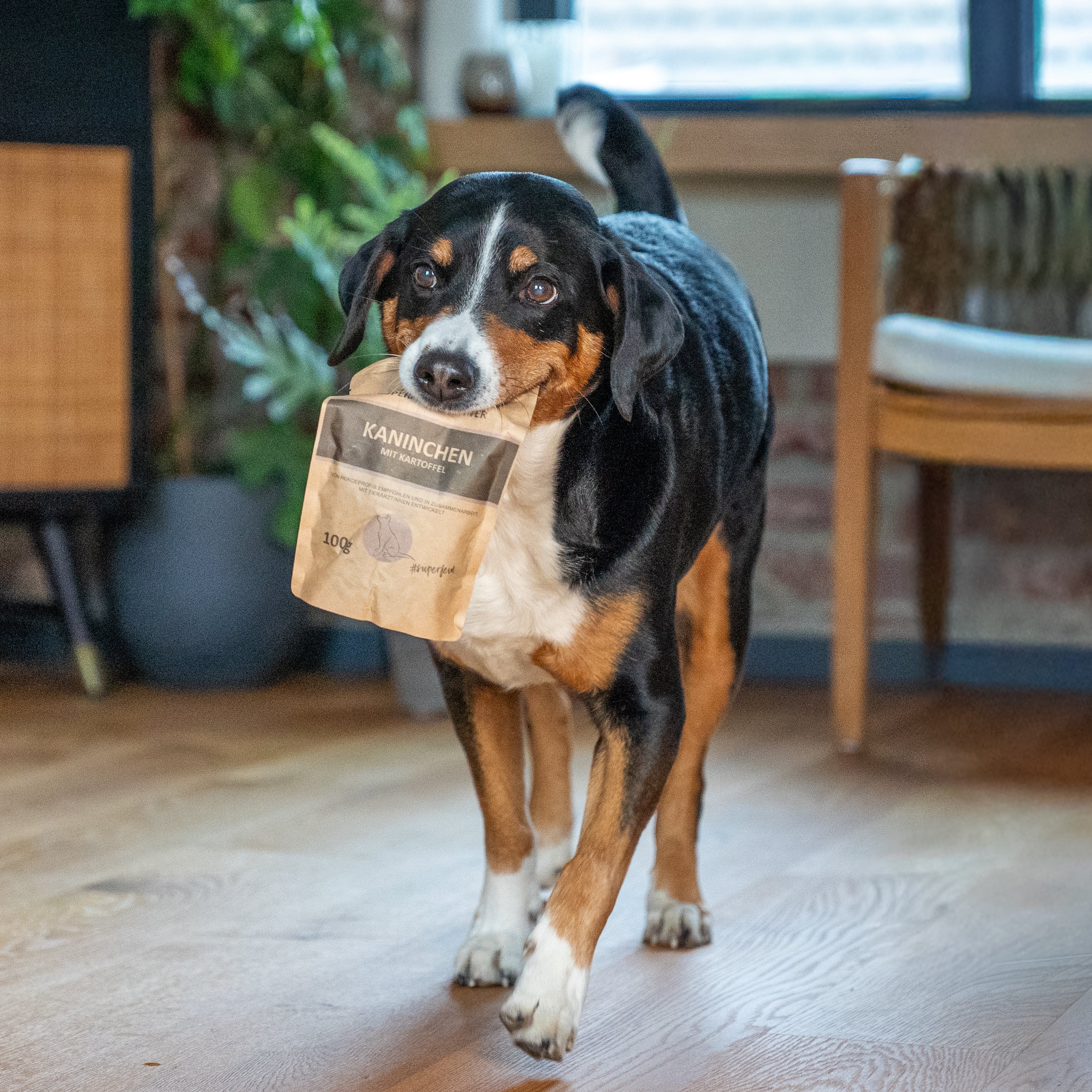 VOGT Superfeines Futter – Das Original - Alles drin, was dein Hund braucht 100g