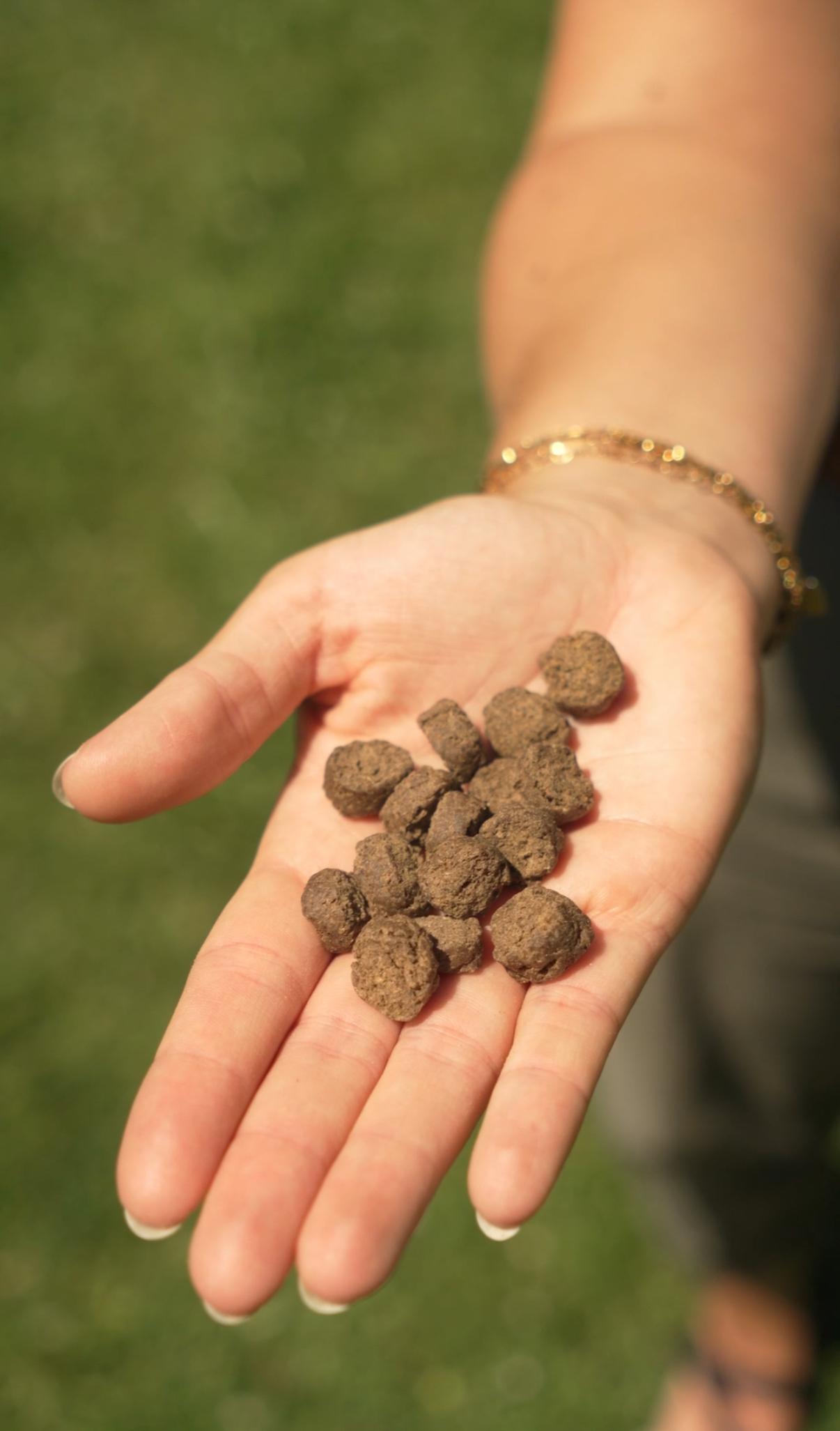 superfeines Hundefutter
