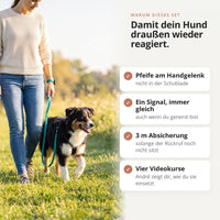 VOGT Trainingsset: Damit dein Hund draußen wieder reagiert