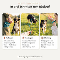 VOGT Trainingsset: In drei Schritten zum Rückruf
