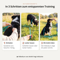 In 3 Schritten zum entspannten Training mit der VOGT-Trainingsleine