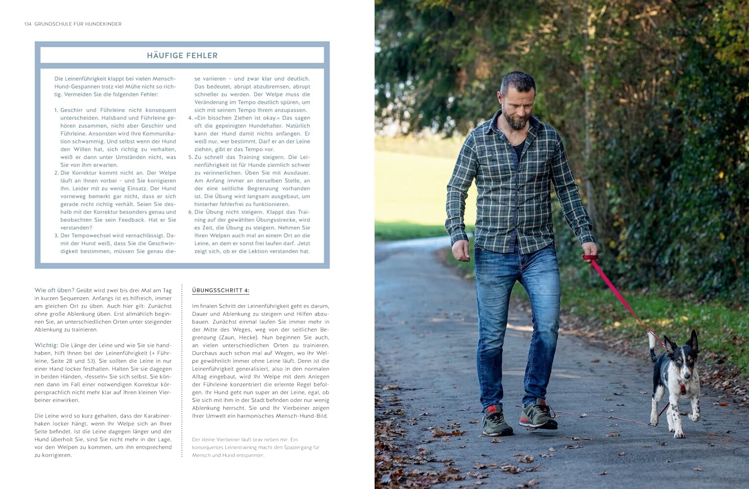 Typgerechtes Welpentraining Buch GU Verlag 