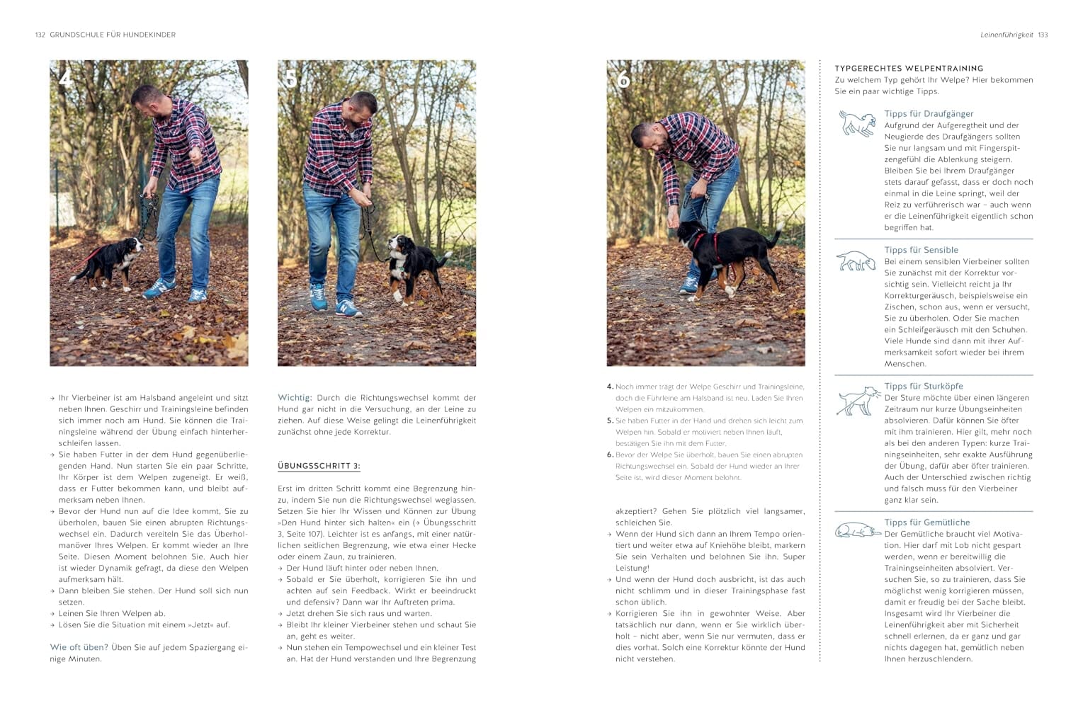 Typgerechtes Welpentraining Buch GU Verlag 