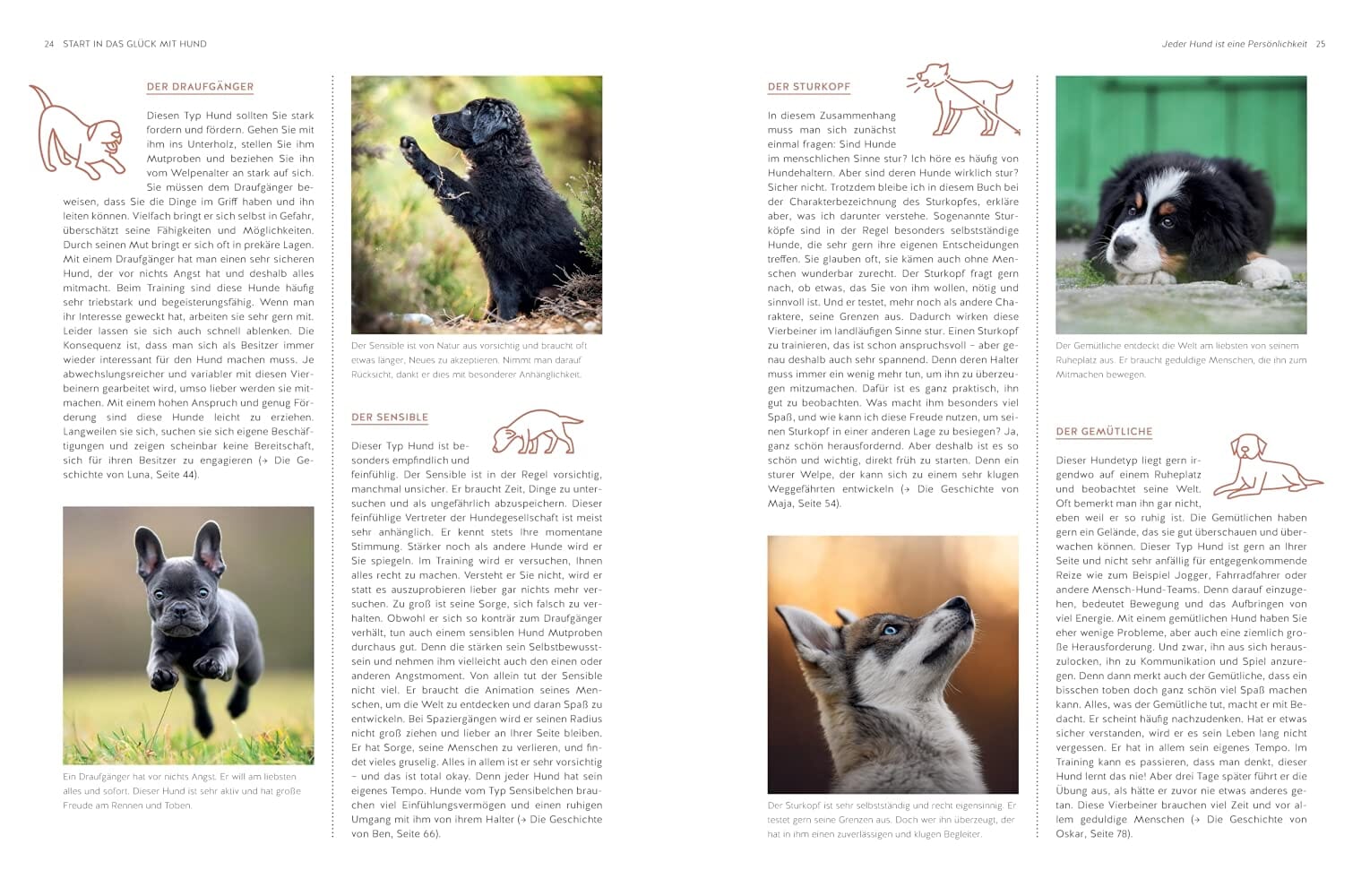 Typgerechtes Welpentraining Buch GU Verlag 